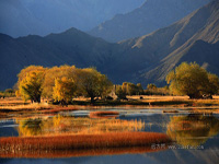 B8：拉薩、珠穆朗瑪峰、古格王朝、神山圣湖20日之旅
