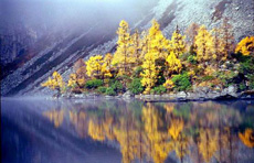 川藏南線成都、稻城、然烏、大峽谷、拉薩12日游