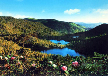 D5：成都、海螺溝、瀘沽湖、麗江、大理11日豪華游