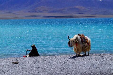 A14：川藏北線丹巴、那木錯、拉薩11日攝影主題線路