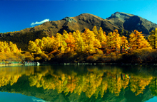 川西金秋成都、九龍、新都橋、稻城亞丁、丹巴9日游