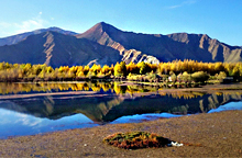 川藏南線：成都、稻城、然烏、大峽谷、拉薩11日游