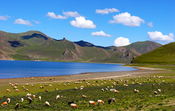 拉薩、亞東、珠峰、日喀則、納木錯(cuò)9日游