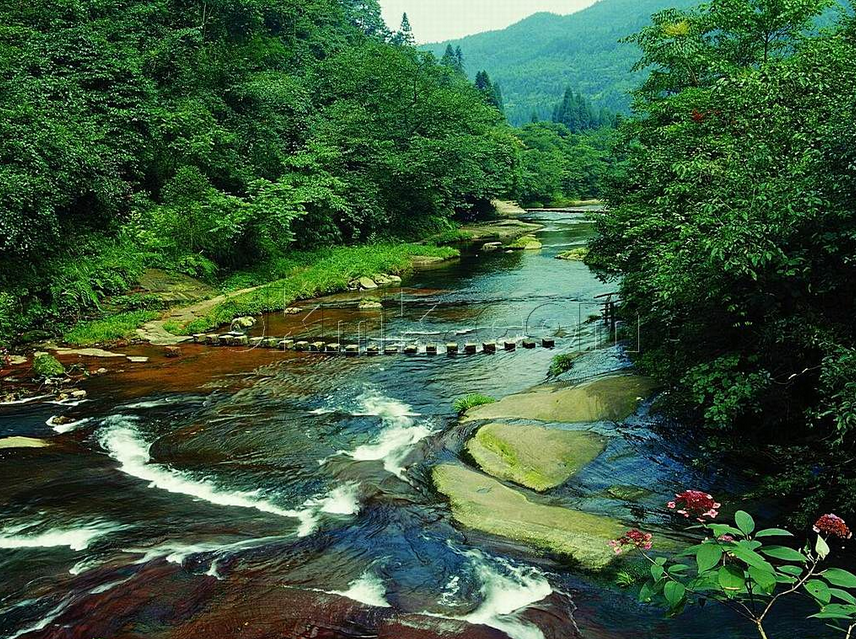獻給媽媽的愛 帶上媽媽一起去旅行