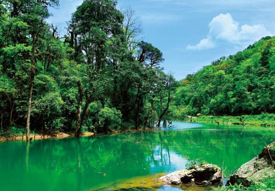 成都租車網(wǎng)薦周末碧峰峽、龍蒼溝二日游