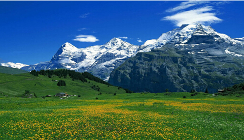 草原最美季 成都租車(chē)旅游熱薦四大草原