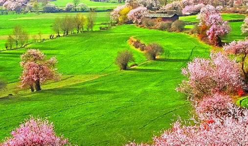 成都租車去燕子溝開(kāi)啟旅游新模式