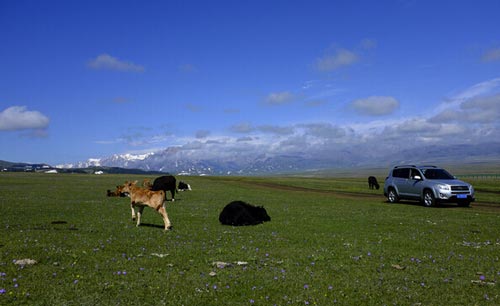 成都租車(chē)價(jià)格一路上揚(yáng) 小心做了&ldquo;冤大頭&rdquo;
