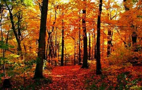 秋游正當時！成都租車旅游選哪一條？