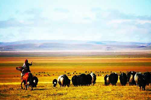 秋游正當時！成都租車旅游選哪一條？