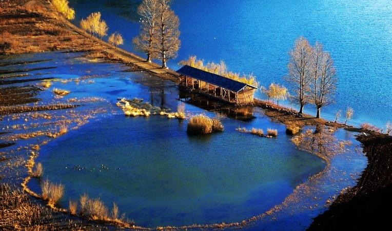 單身節(jié)不單 成都汽車租賃伴你過雙十一